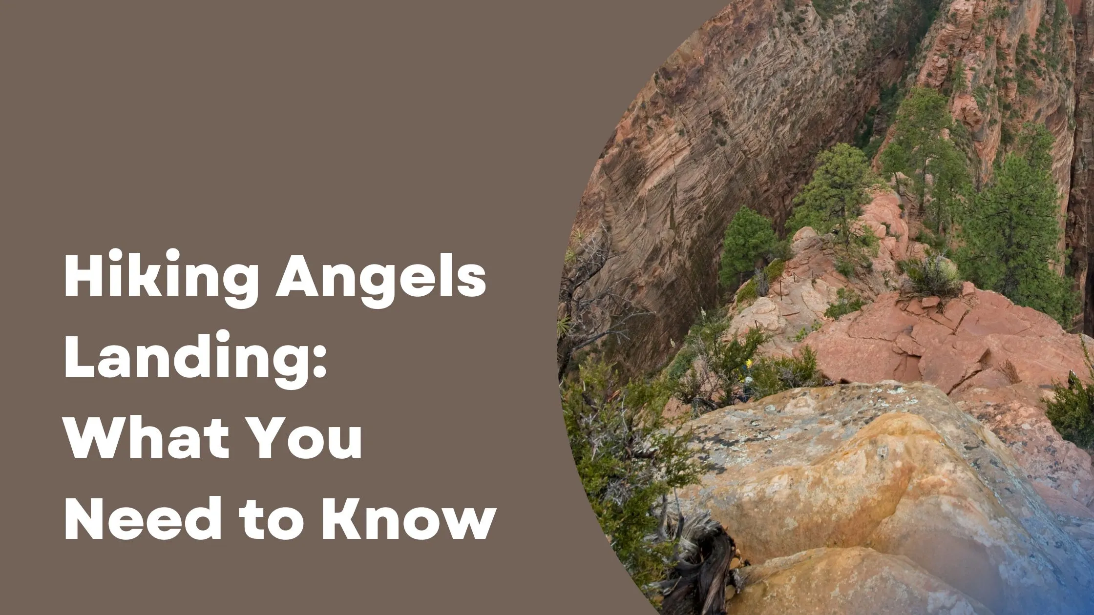 hiking angels landing what you need to know
